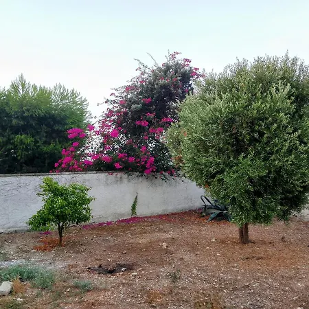 Alloggio Masseria Belvedere 公寓 *